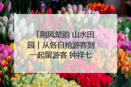 荆风楚韵 山水田园｜从各自抢游客到一起留游客 钟祥七村抱团解了“乡愁”添了“乡酬”