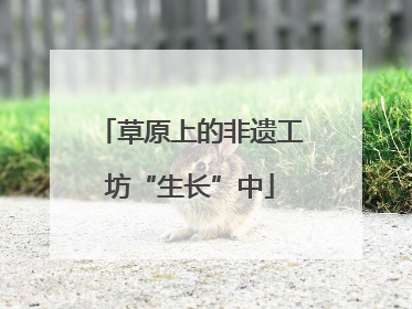 草原上的非遗工坊“生长”中