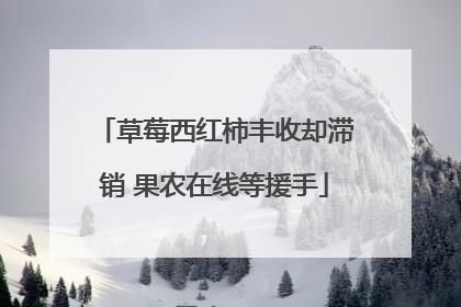 草莓西红柿丰收却滞销 果农在线等援手