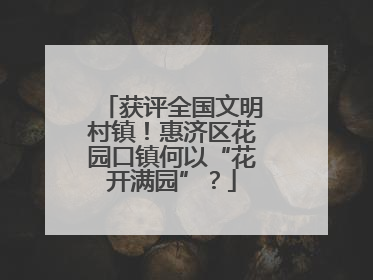获评全国文明村镇！惠济区花园口镇何以“花开满园”？