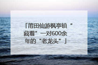 莆田仙游枫亭镇“藏着”一对600余年的“老龙头”