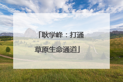 耿学峰：打通草原生命通道