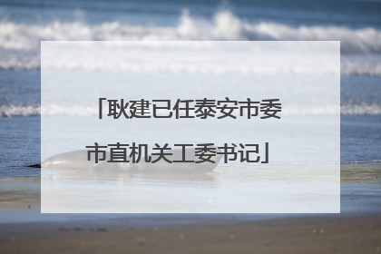 耿建已任泰安市委市直机关工委书记