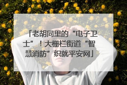 老胡同里的“电子卫士”！大栅栏街道“智慧消防”织就平安网