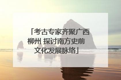 考古专家齐聚广西柳州 探讨南方史前文化发展脉络