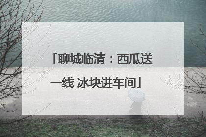 聊城临清：西瓜送一线 冰块进车间