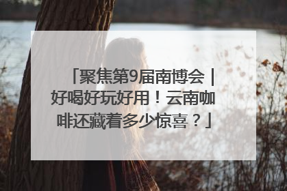 聚焦第9届南博会｜好喝好玩好用！云南咖啡还藏着多少惊喜？