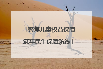 聚焦儿童权益保障 筑牢民生保障防线