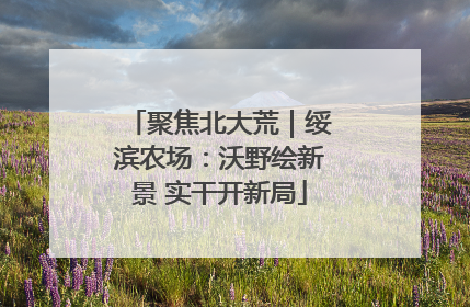 聚焦北大荒｜绥滨农场：沃野绘新景 实干开新局
