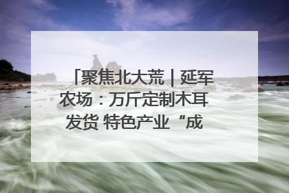 聚焦北大荒｜延军农场：万斤定制木耳发货 特色产业“成绩单”亮眼