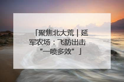 聚焦北大荒｜延军农场：飞防出击 “一喷多效”