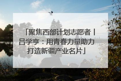 聚焦西部计划志愿者丨吕学亨：用青春力量助力打造新疆产业名片