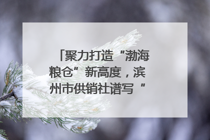 聚力打造“渤海粮仓”新高度，滨州市供销社谱写“三夏”丰收乐章