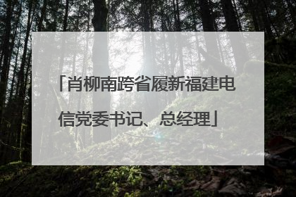 肖柳南跨省履新福建电信党委书记、总经理