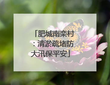 肥城南栾村：清淤疏堵防大汛保平安