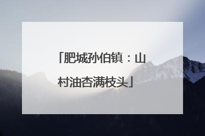 肥城孙伯镇：山村油杏满枝头