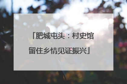 肥城屯头：村史馆留住乡情见证振兴