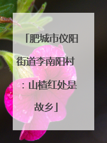 肥城市仪阳街道李南阳村：山楂红处是故乡