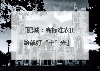 肥城：高标准农田绘就好“丰”光
