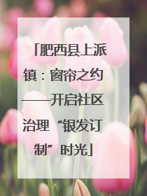 肥西县上派镇：窗帘之约——开启社区治理“银发订制”时光