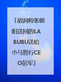 胡润将张朝阳送回的LABUBU送给小马智行CEO彭军
