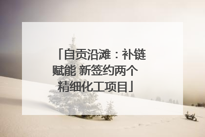 自贡沿滩：补链赋能 新签约两个精细化工项目