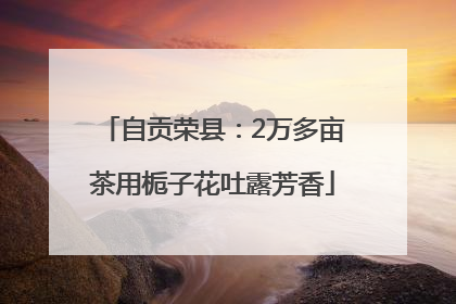 自贡荣县：2万多亩茶用栀子花吐露芳香