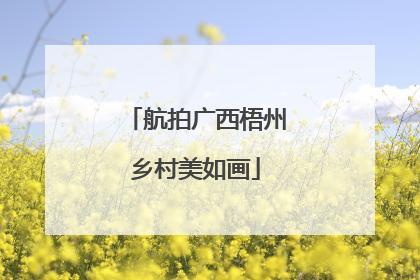 航拍广西梧州乡村美如画