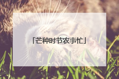 芒种时节农事忙