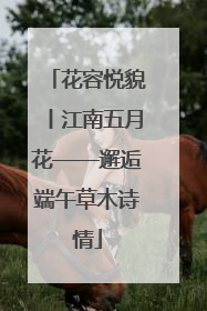 花容悦貌丨江南五月花——邂逅端午草木诗情