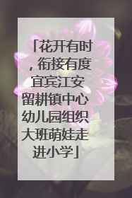 花开有时，衔接有度 宜宾江安留耕镇中心幼儿园组织大班萌娃走进小学
