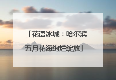 花语冰城：哈尔滨五月花海绚烂绽放