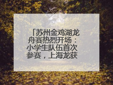 苏州金鸡湖龙舟赛热烈开场：小学生队伍首次参赛，上海龙获国际组冠亚军