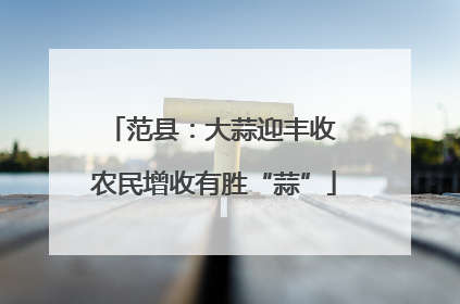 范县：大蒜迎丰收 农民增收有胜“蒜”