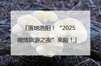 落地洛阳！“2025微博旅游之夜”来啦！