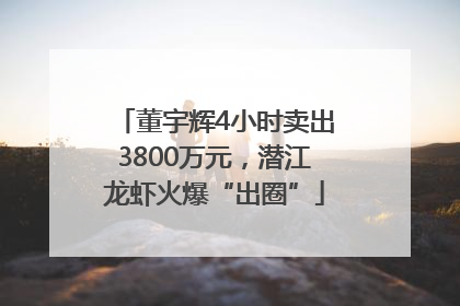 董宇辉4小时卖出3800万元，潜江龙虾火爆“出圈”