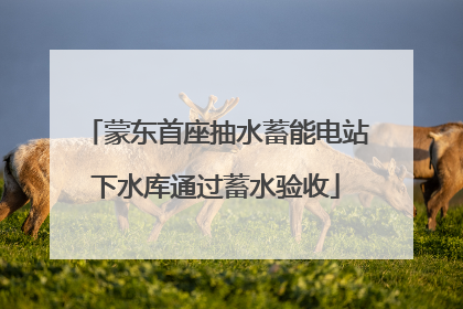 蒙东首座抽水蓄能电站下水库通过蓄水验收