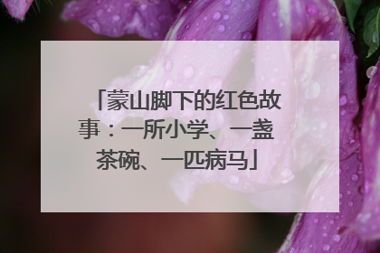 蒙山脚下的红色故事：一所小学、一盏茶碗、一匹病马