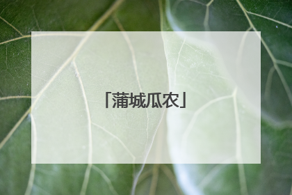 蒲城瓜农