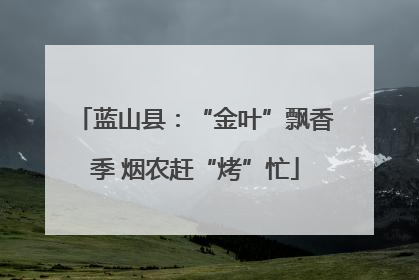 蓝山县：“金叶”飘香季 烟农赶“烤”忙