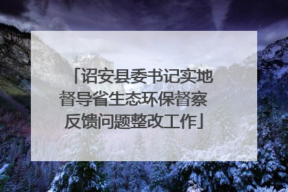 诏安县委书记实地督导省生态环保督察反馈问题整改工作