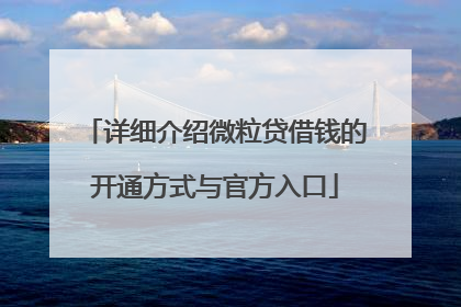 详细介绍微粒贷借钱的开通方式与官方入口