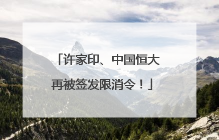 许家印、中国恒大再被签发限消令！