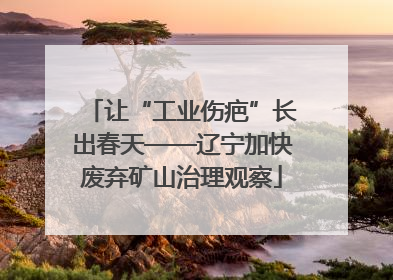 让“工业伤疤”长出春天——辽宁加快废弃矿山治理观察