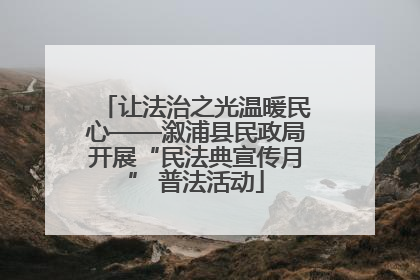让法治之光温暖民心——溆浦县民政局开展“民法典宣传月” 普法活动