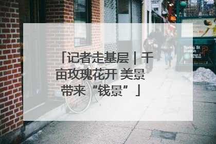 记者走基层｜千亩玫瑰花开 美景带来“钱景”
