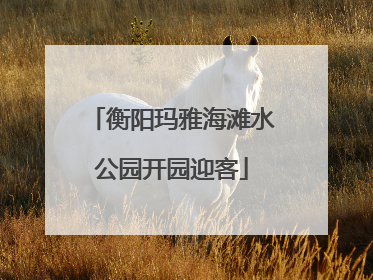 衡阳玛雅海滩水公园开园迎客