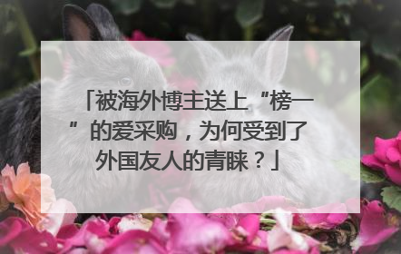 被海外博主送上“榜一”的爱采购，为何受到了外国友人的青睐？