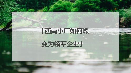 西南小厂如何蝶变为领军企业