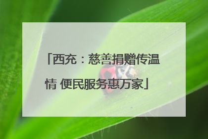 西充：慈善捐赠传温情 便民服务惠万家